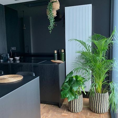Zwarte Gracht Villa Zottegem Dış mekan fotoğraf